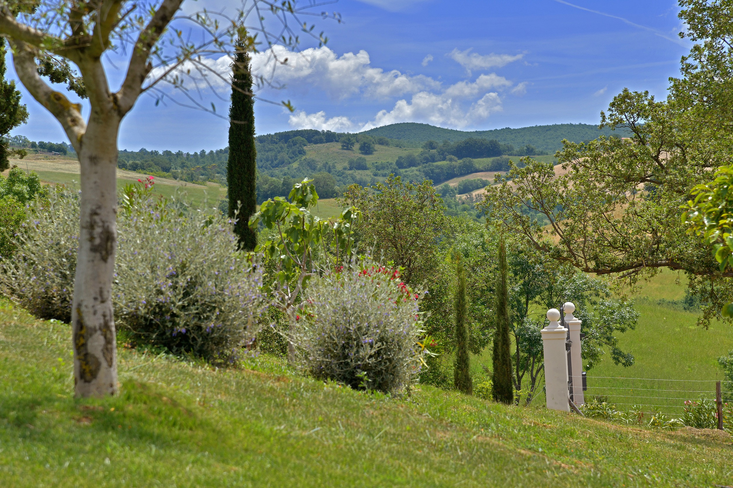 Tenuta Thun La Cerrettaia garden trees bushes