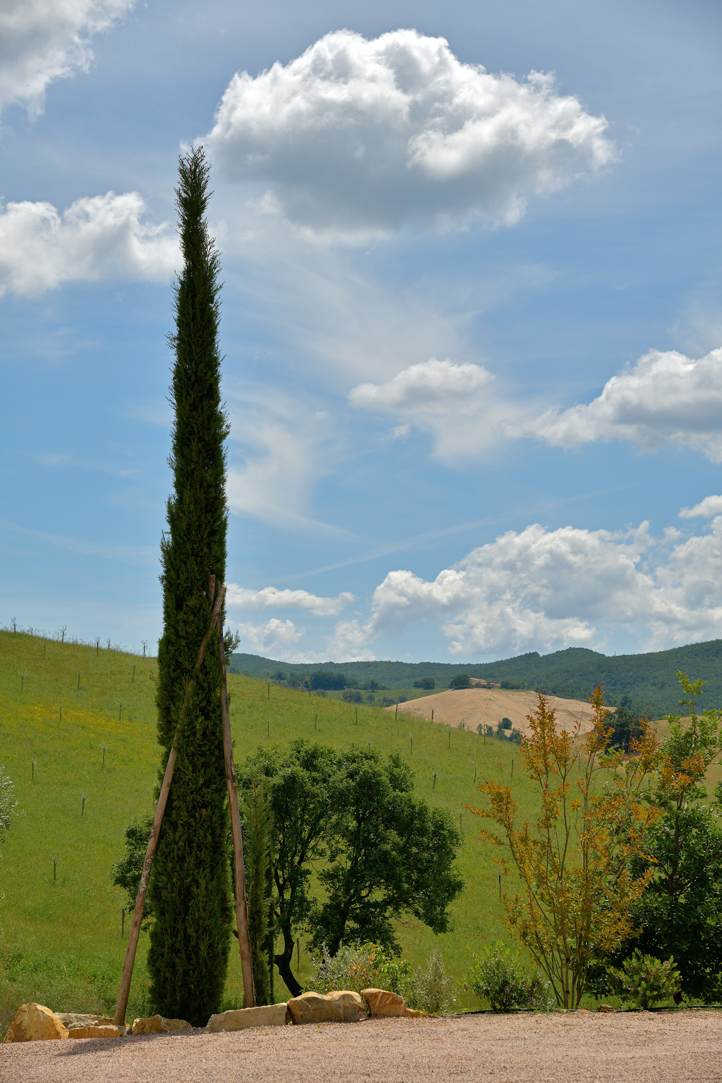 Tenuta-Thun-La-Cerrettaia-tuscany-landscape-garden