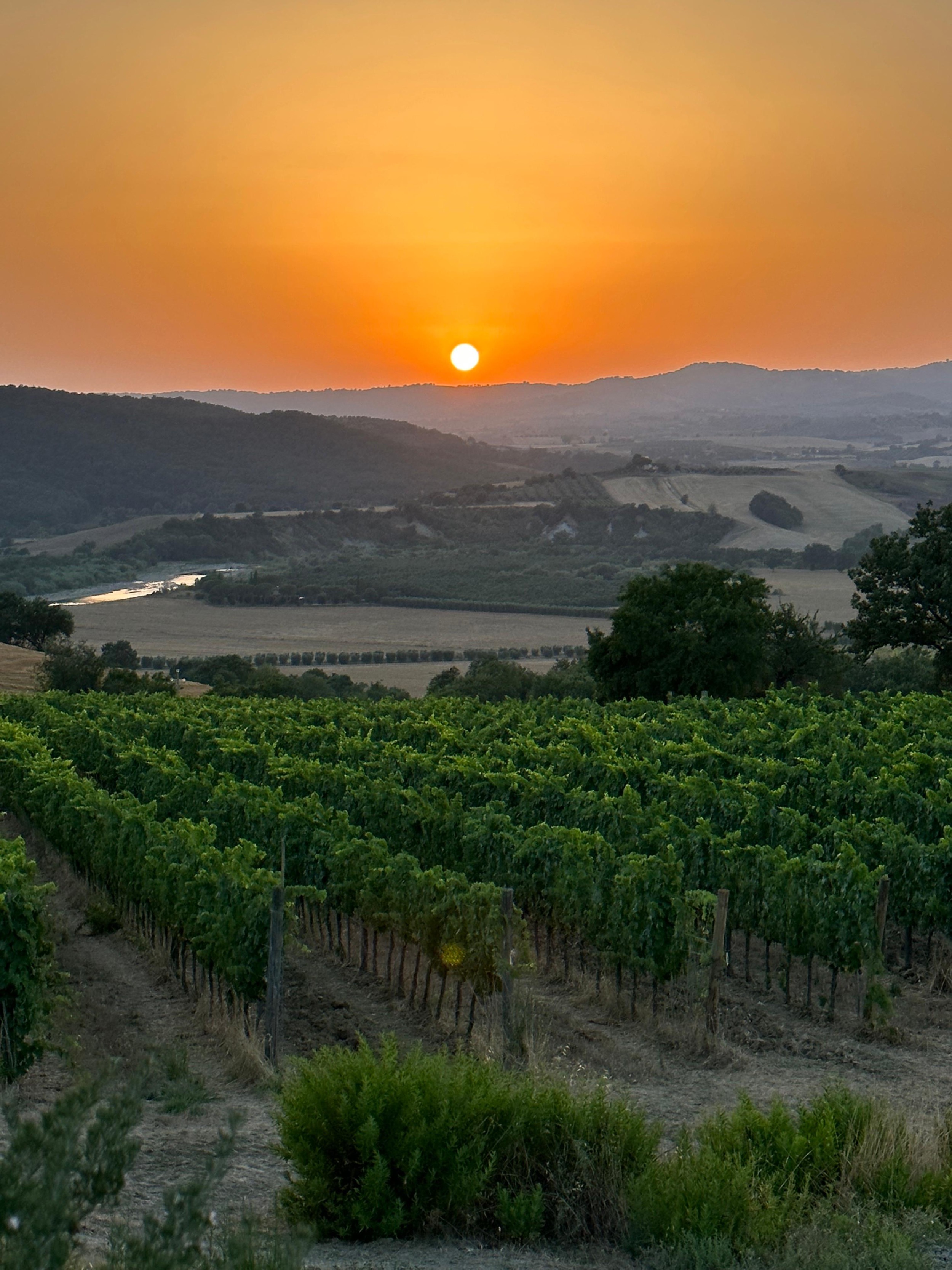 Tenuta-Thun-Sunset-tuscany-beautiful-5