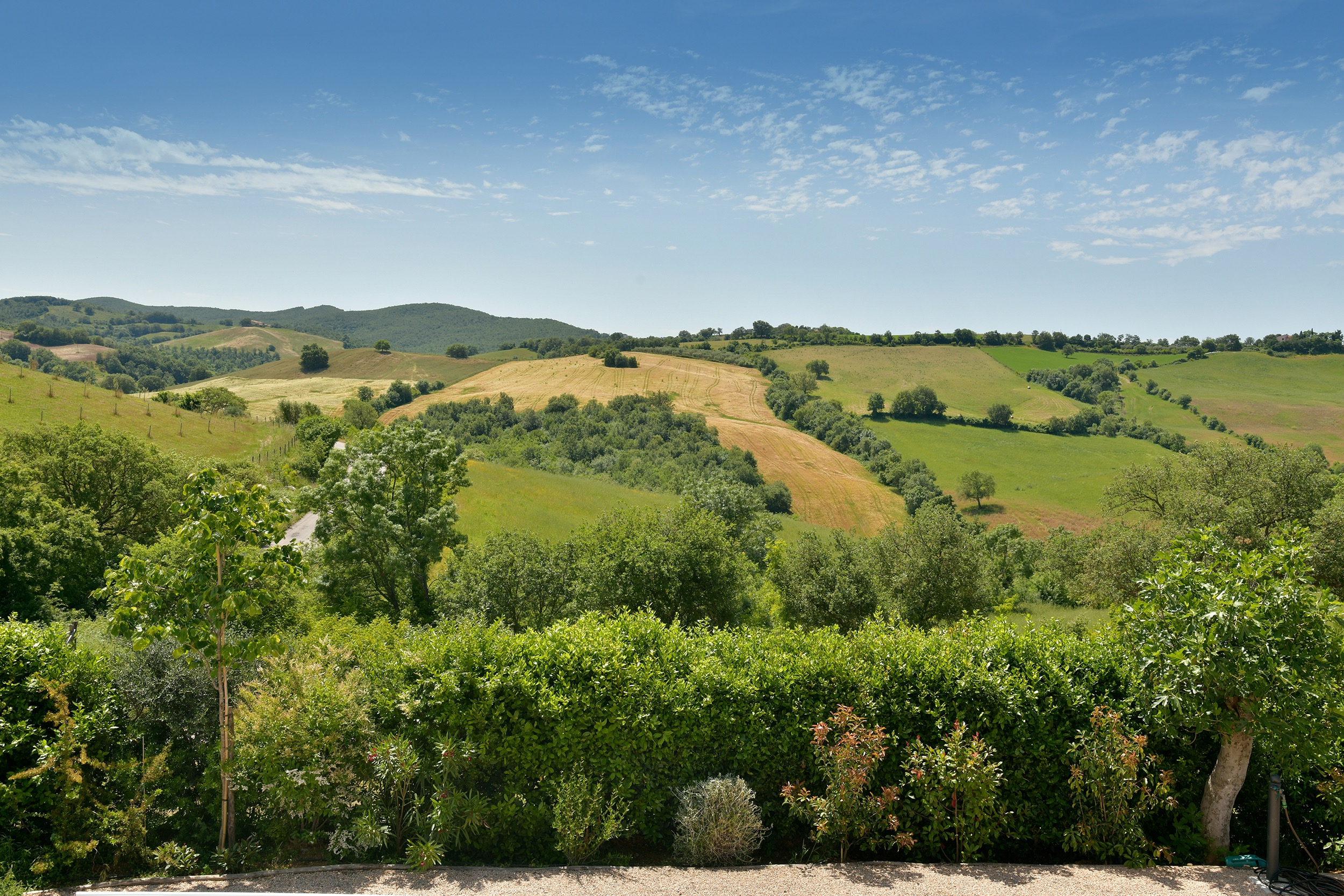 Tenuta Thun tuscan landscape